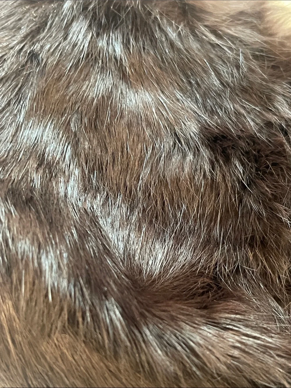 THE LIMITED Brown Fur Clutch with Chain